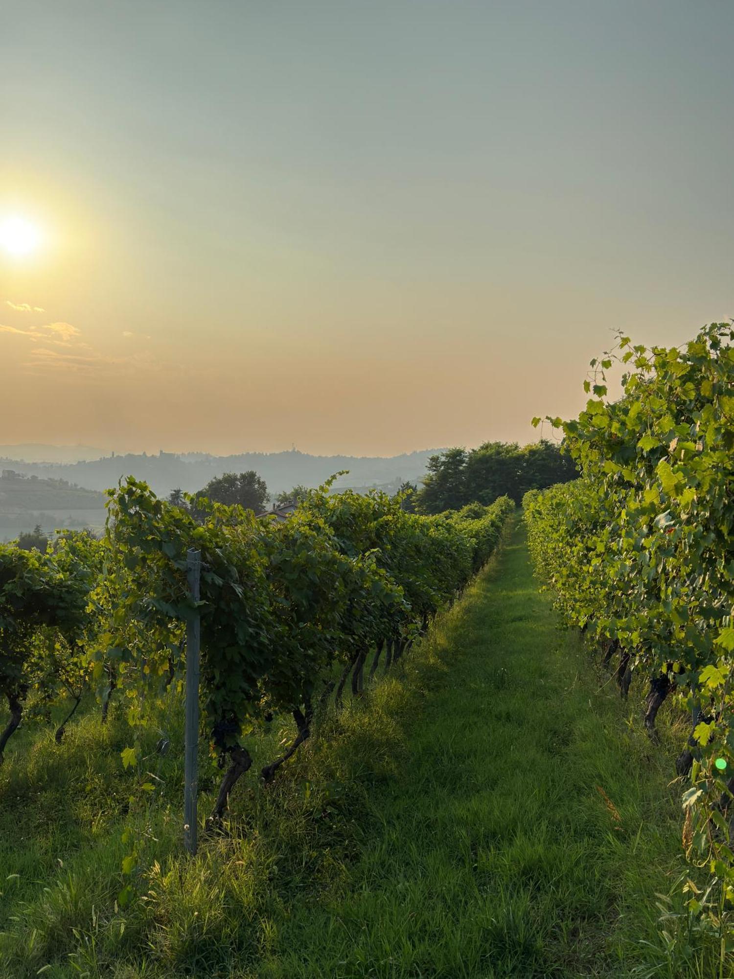 Castelnuovo Don Bosco Relais Conac 1888 - Luxury B&B - Adults Only المظهر الخارجي الصورة